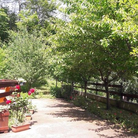Crkvine Chalet Kolašin Kültér fotó