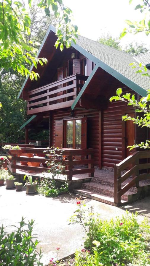 Crkvine Chalet Kolašin Kültér fotó