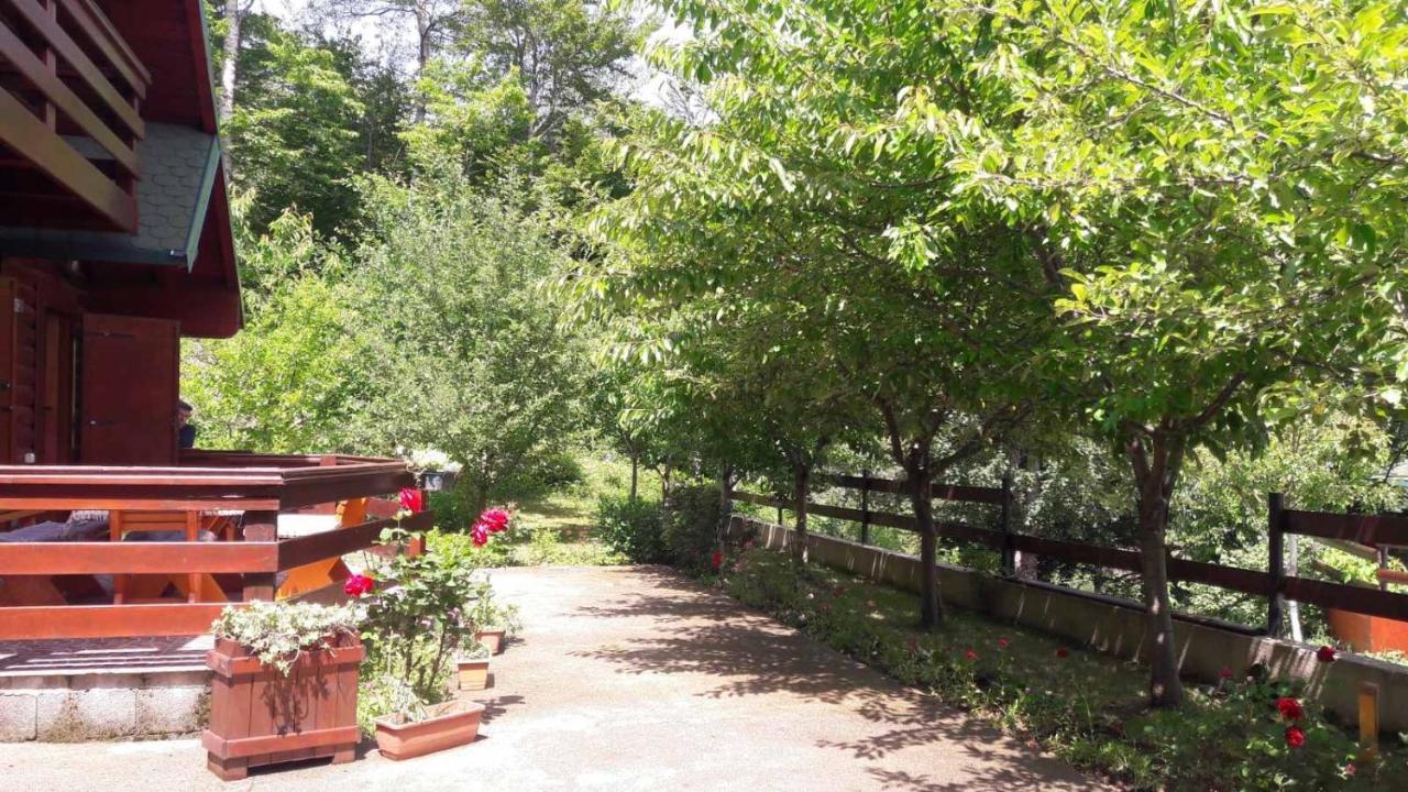 Crkvine Chalet Kolašin Kültér fotó